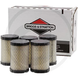 Briggs & Stratton Filter