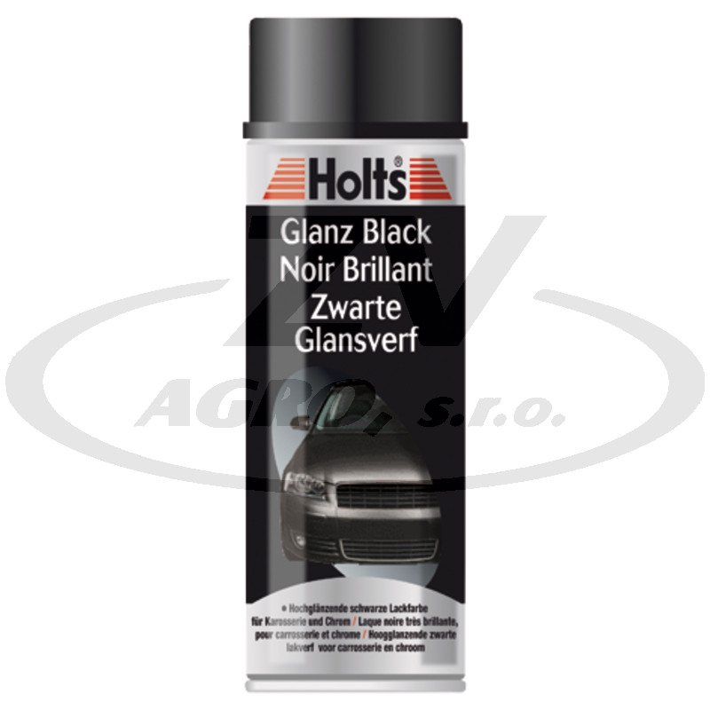 Holts Glanz Black